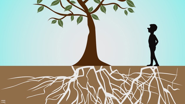 https://www.miriblank.co.il/wp-content/uploads/2013/01/tree-roots_S-628x353.jpg