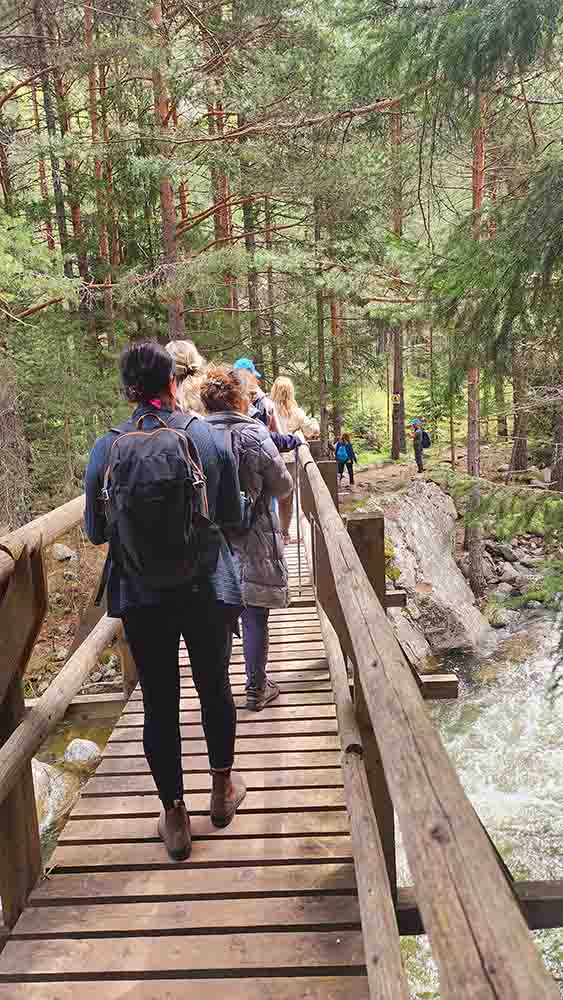 ריטריט טיול ביער בבולגריה