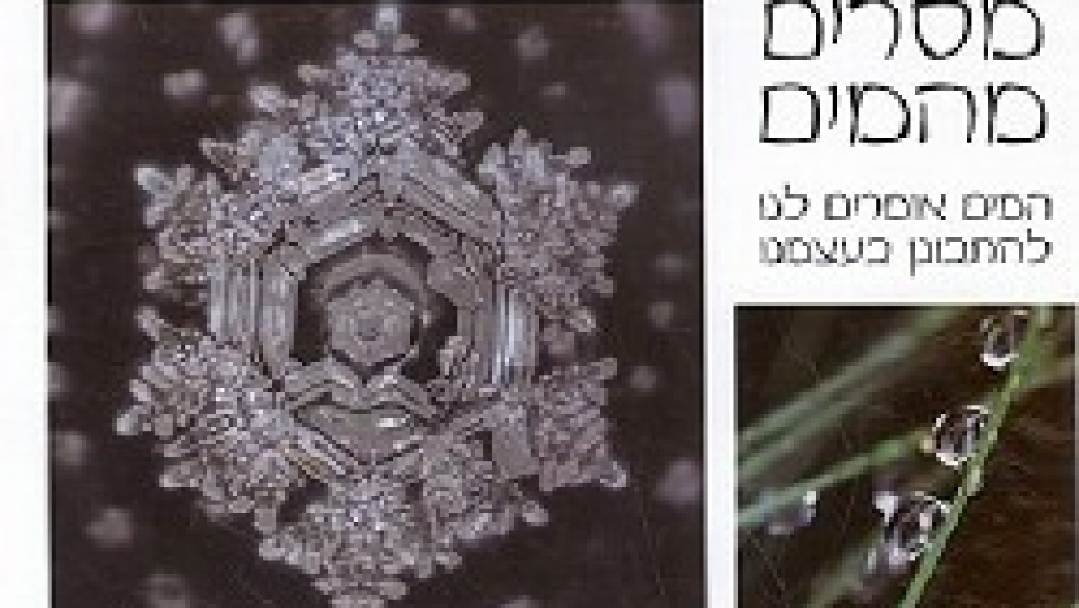 פירוש חדש למשמעות המושג מים חיים. צילומים צבעוניים מהממים.

מים הם מוליך ואחוז מאוד גבוה מגופינו בנוי ממים, כך שיש חשיבות רבה בעיני לספר זה. הוא מלמד אותנו על השפעה של מוזיקה, קול, מקומות שונים או תמונות עלה המים, מבחינתי גם על גופינו וסביבתנו.

מה קורה למים שמקשיבים לבאך או לחילופין למוסיקת הילינג או להבי מטאל ולעוד סוגים רבים של מוסיקה, ומה קורה להם כשאומרים לידם ``תודה רבה`` ולחילופין ``אידיוט`` ועוד מילים רבות ושונות. מה קורה להם בסביבות מגורים שונות, בערים, בנהרות, במעיינות, בקרחונים? אילו סוגי מידע נושאים עמם סוגי המים השונים?
הספר ``מסרים מהמים`` עונה על השאלות האלה באמצעות צילומים מיוחדים במינם.